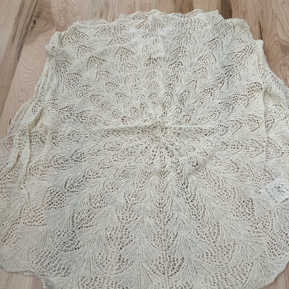 Stunning lace top from Anthropologie